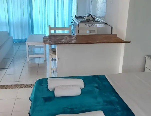 apartment-1 (1)